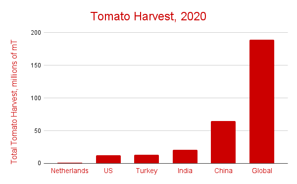 A chart of the tomato harvest of top producers plus netherlands and the global total